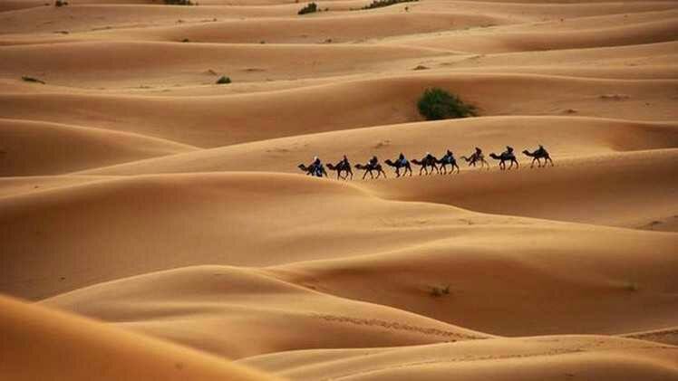 فرصة اليوم
